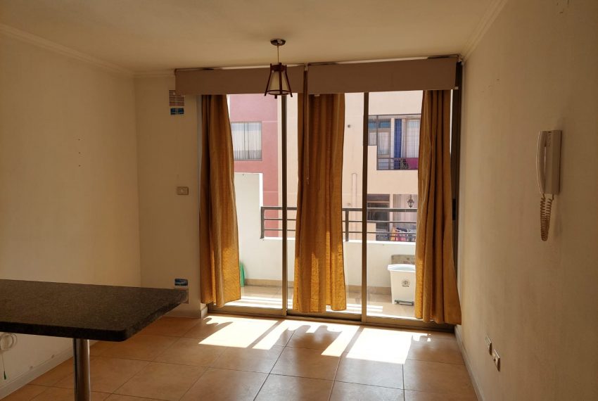 WhatsApp Image 2023-01-11 at 11.17.28