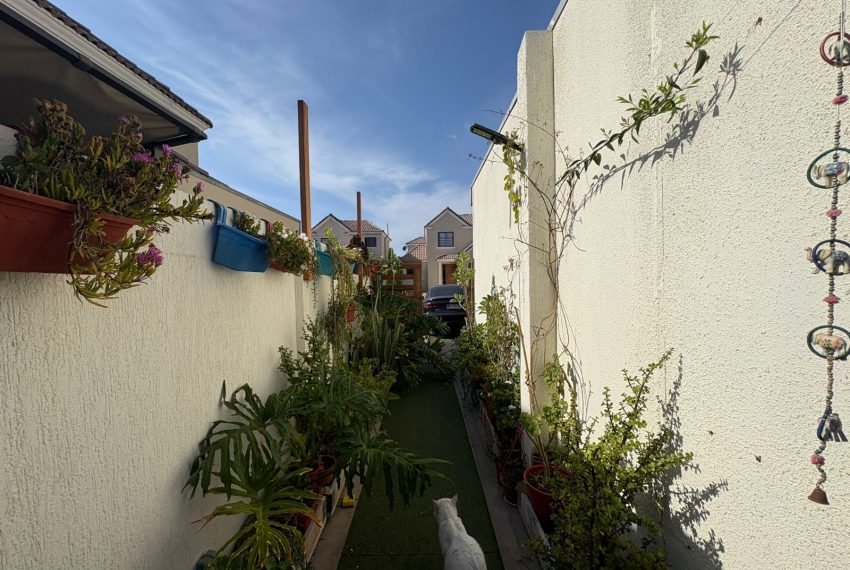 WhatsApp Image 2026-01-29 at 4.13.11 PM