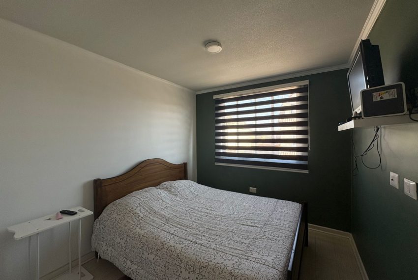 WhatsApp Image 2026-01-29 at 4.13.12 PM