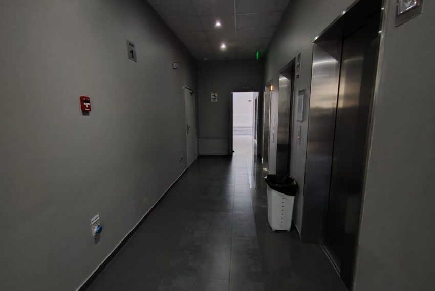 WhatsApp Image 2026-02-16 at 9.29.01 AM