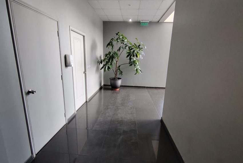 WhatsApp Image 2026-02-16 at 9.29.02 AM